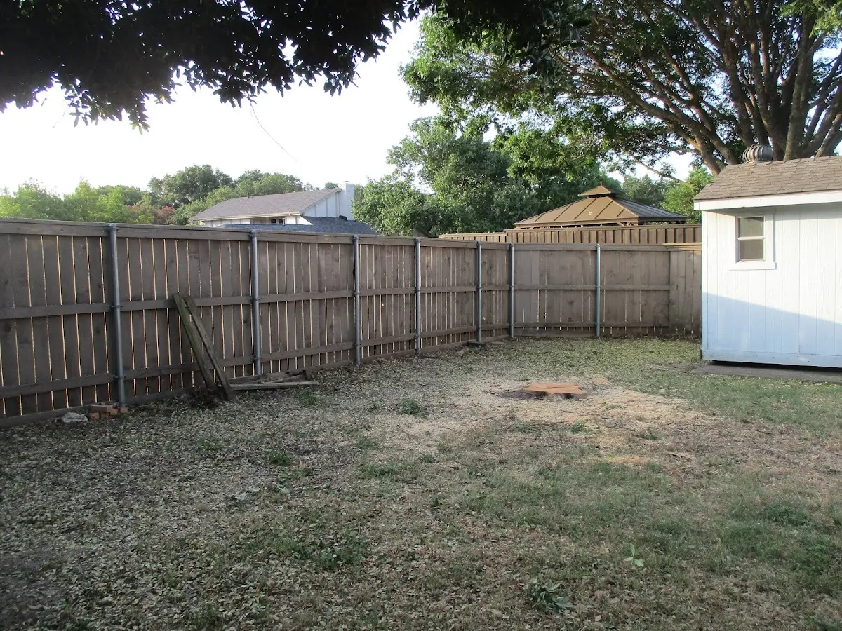 Cleared yard after professional tree removal in Cutchogue