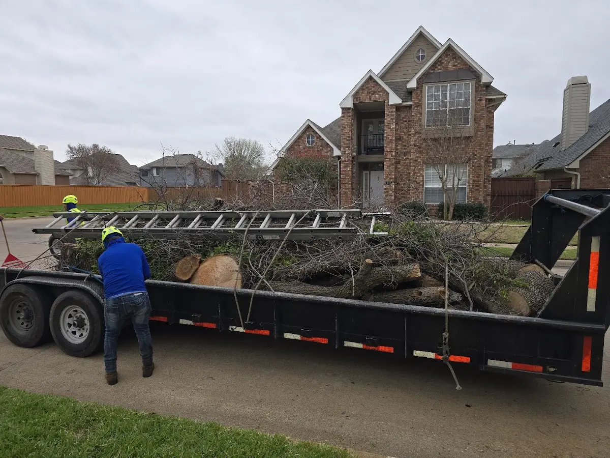 Expert Crown Reduction with proper safety equipment in Cutchogue